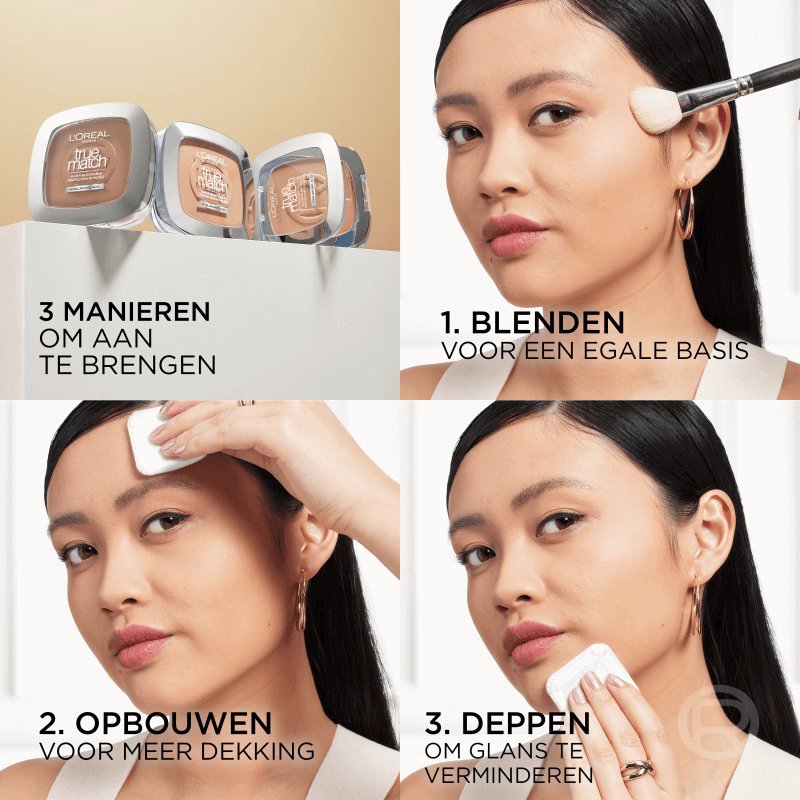 True Match Perfecting Powder 6NL
